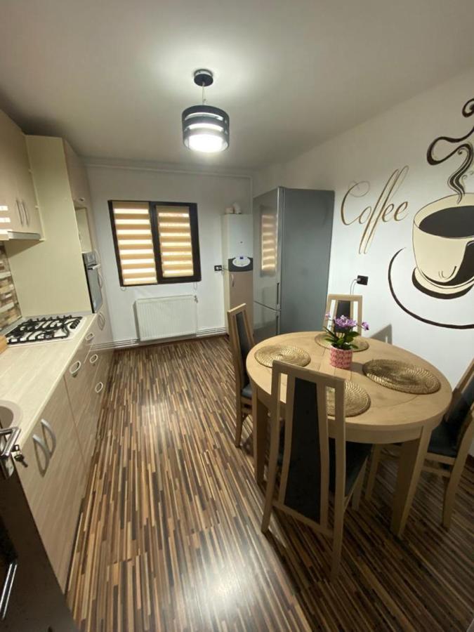 Apartament Exclusive Targu Ocna Zewnętrze zdjęcie