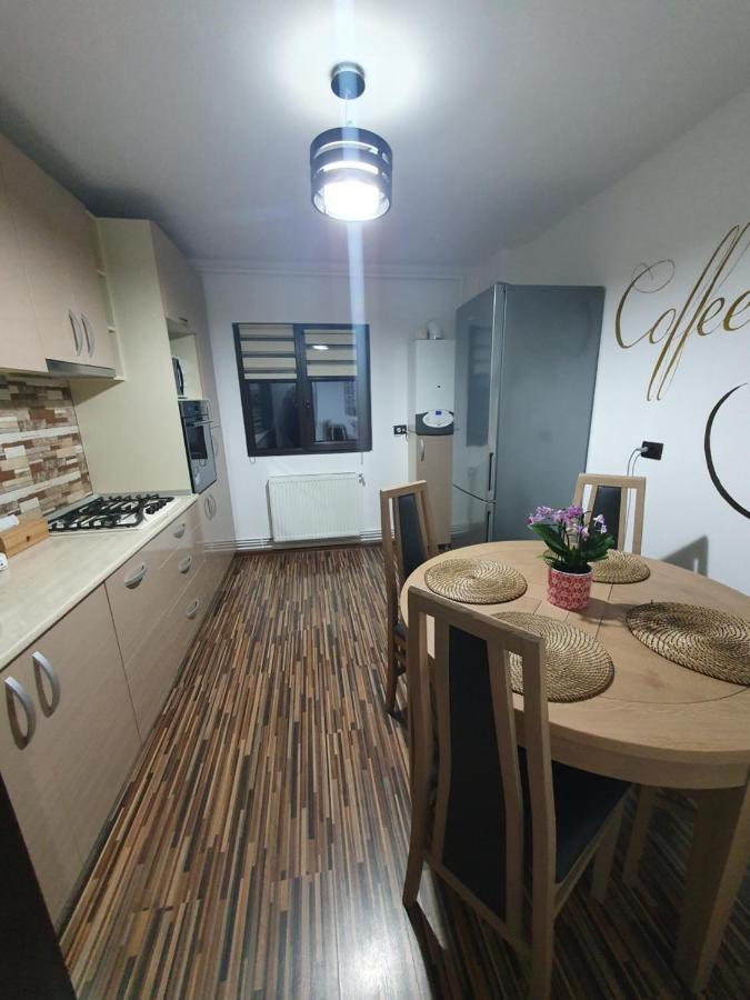 Apartament Exclusive Targu Ocna Zewnętrze zdjęcie